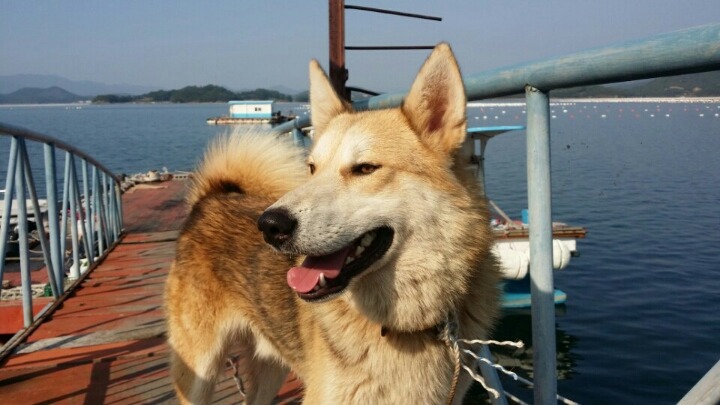 꼴통집 이미지