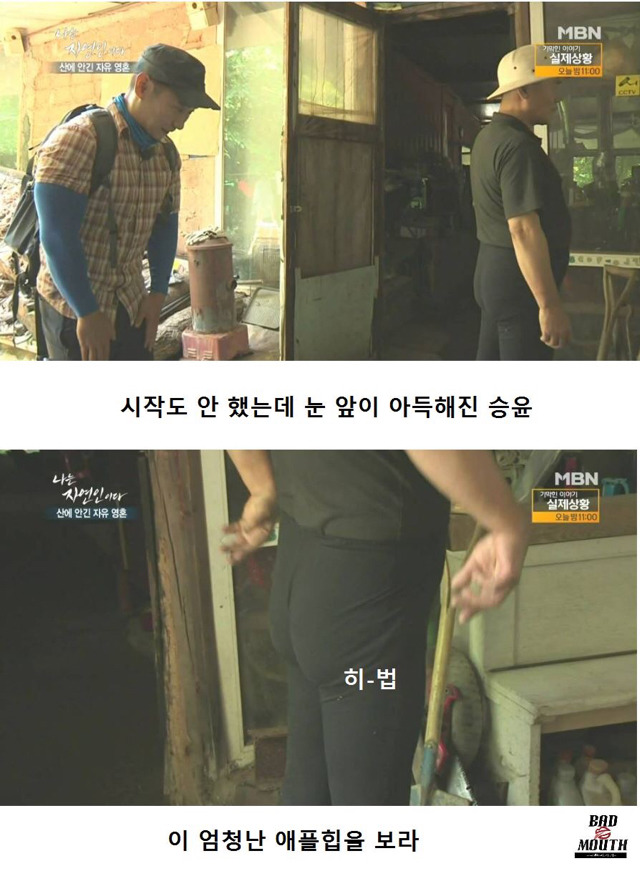 말벌 이후 레전드 경신한 나는 자연인이다 ㅋㅋㅋㅋㅋㅋㅋ | 인스티즈
