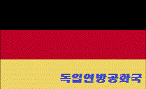 선인장 꽃 | 인스티즈