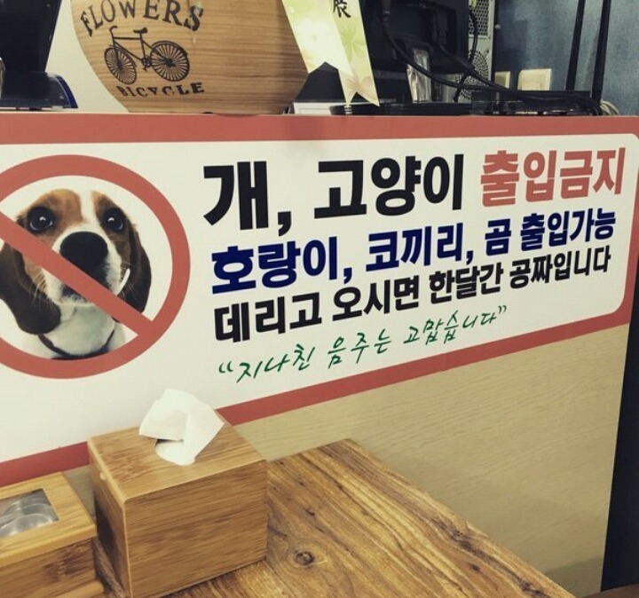 개,고양이 출입금지 | 인스티즈