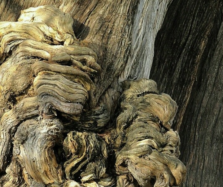 숨은 고양이 찾기 | 인스티즈