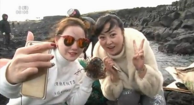 제주도 해녀 할머니 전복 훔쳐간 중국 여자들 ㅎㄷㄷ | 인스티즈