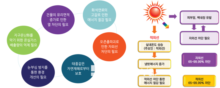 젤코바 이미지