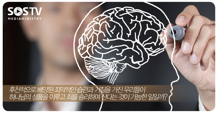두뇌와마음 이미지
