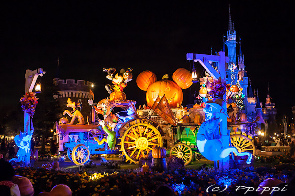 의외로 이 분위기 무서워 하는 사람 많음 | 인스티즈