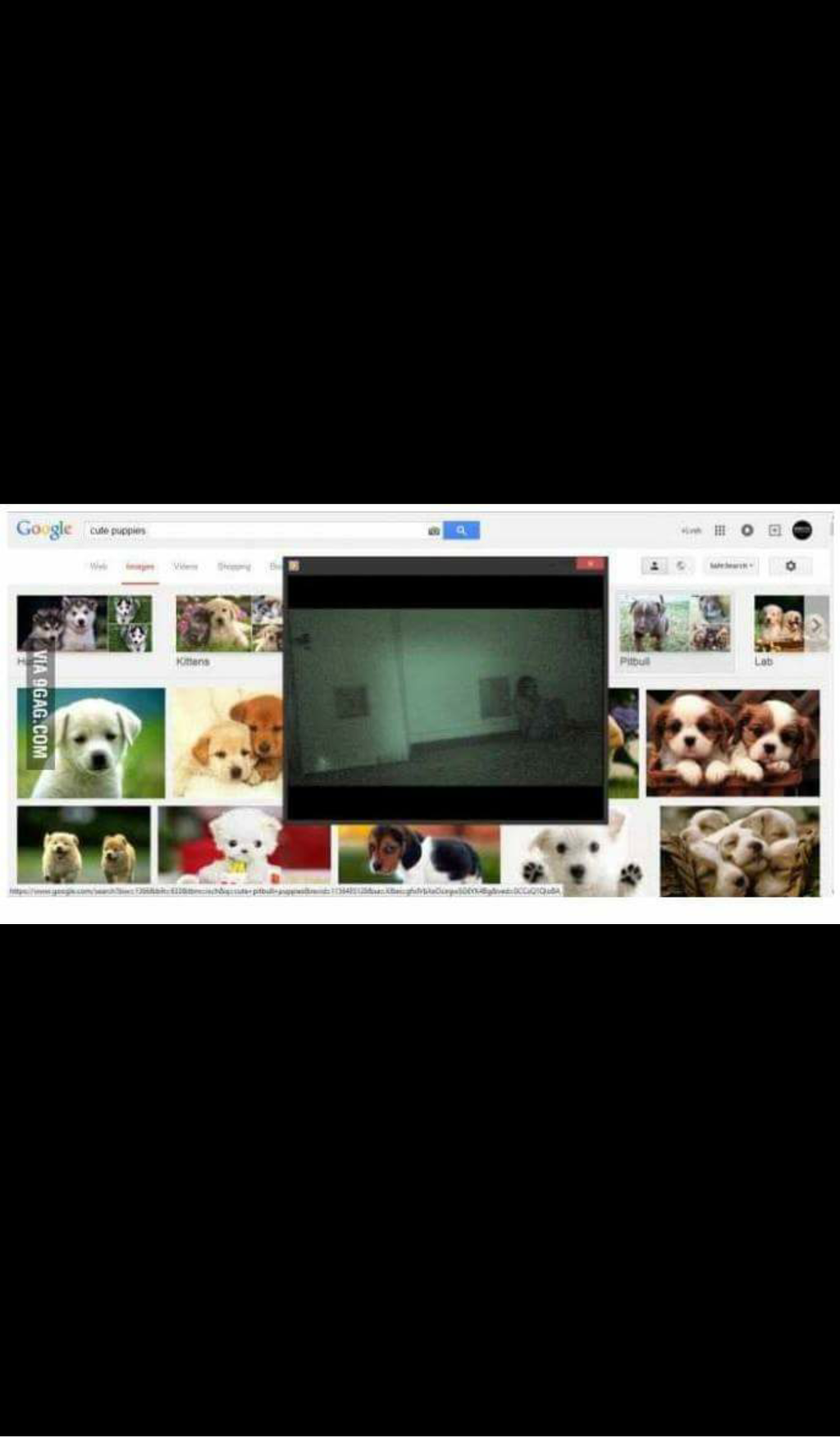 겁쟁이가 공포영화를 보는방법 | 인스티즈