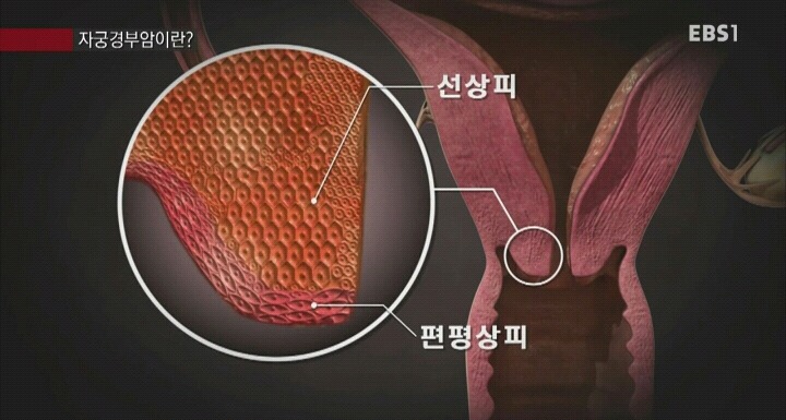 더블클릭을 하시면 이미지를 수정할 수 있습니다