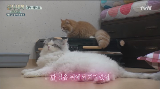 나영석 PD 예능에서 은근 호불호 나뉘는 편집.jpg | 인스티즈