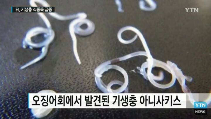 일본 여행 시 주의사항 | 인스티즈