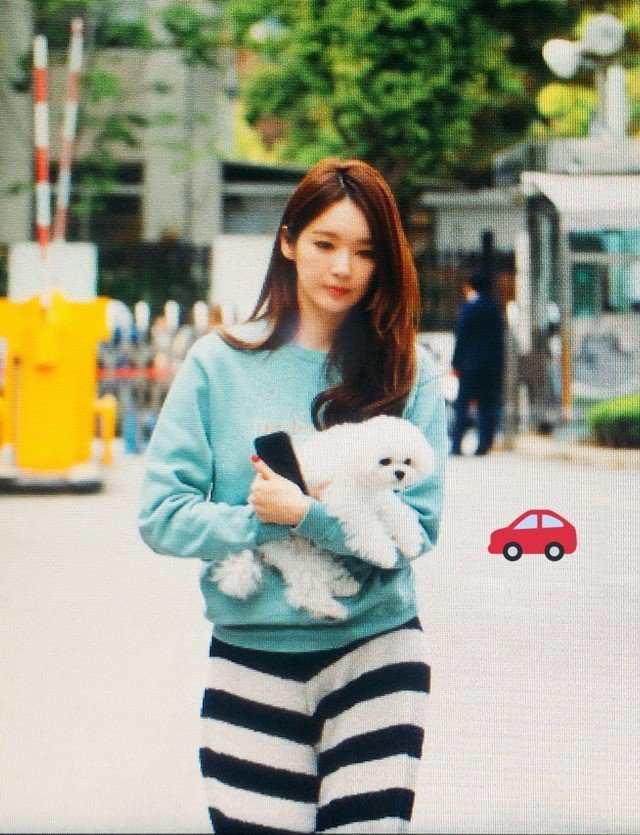 음악방송 출근하는 강아지.jpg | 인스티즈