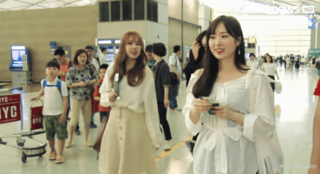 소나무 인천공항 대만 출국 움짤 | 인스티즈