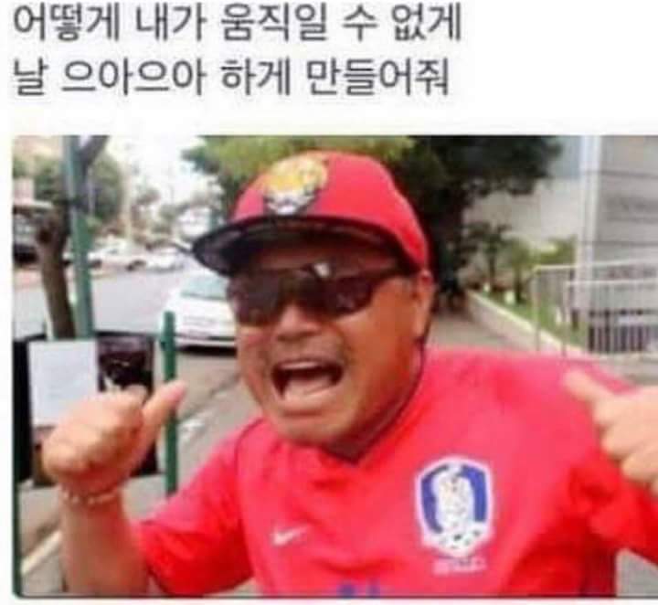 천조국의 쿠마도리 | 인스티즈