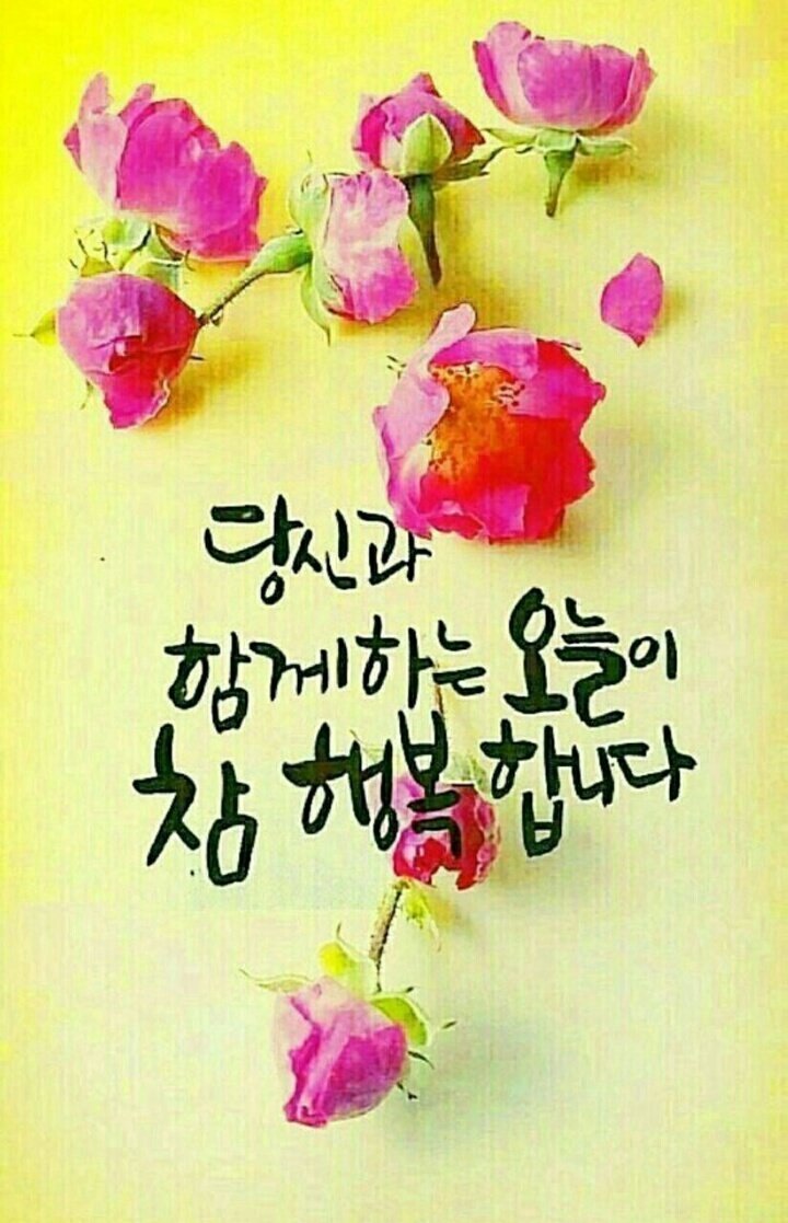 마음 이미지