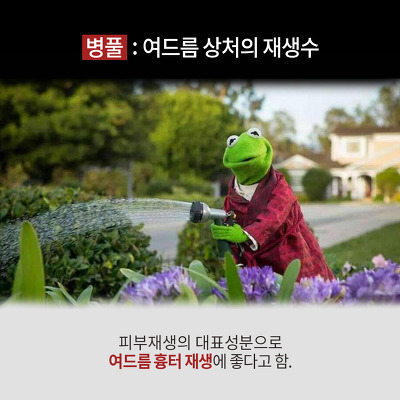 엘모가 말하는 여드름 박멸하는 4가지 방법 (심장어택주의) | 인스티즈