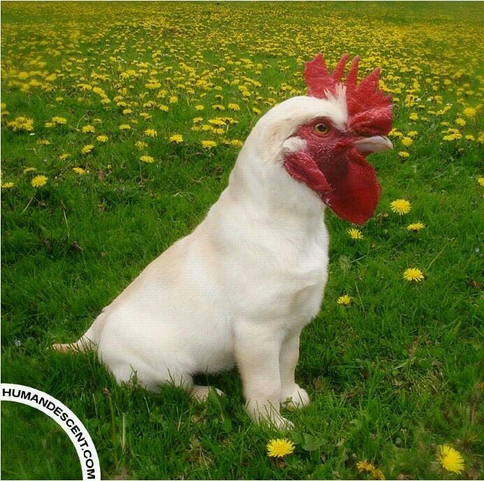 계 이미지