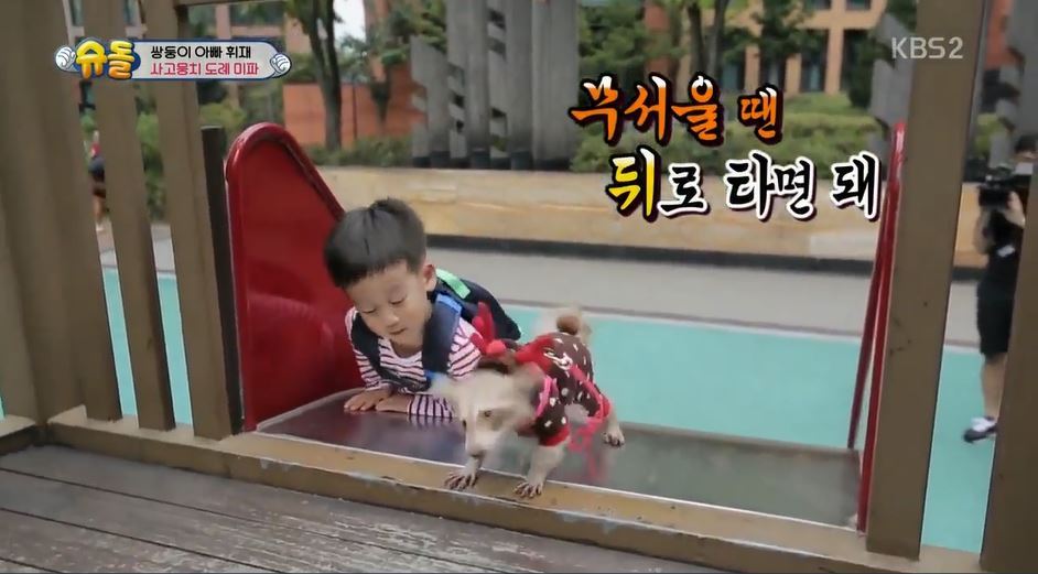 서언이 서준이 보면서 놀란 아이들의 감정 | 인스티즈