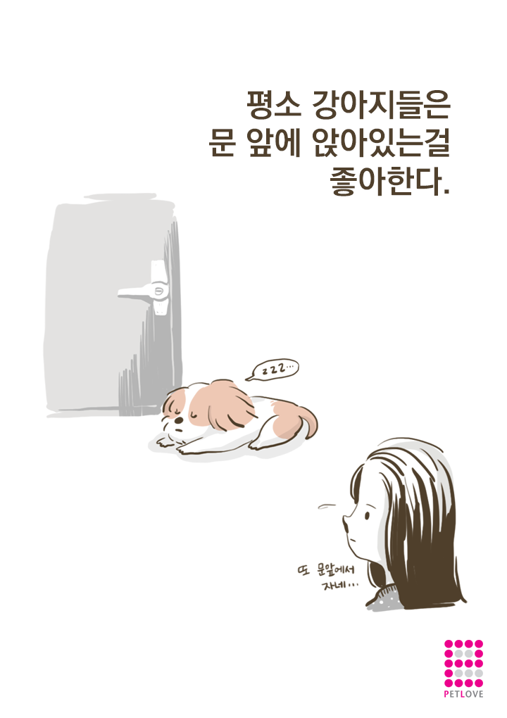 강아지들이 문앞에 앉아있는 이유? (만화) | 인스티즈