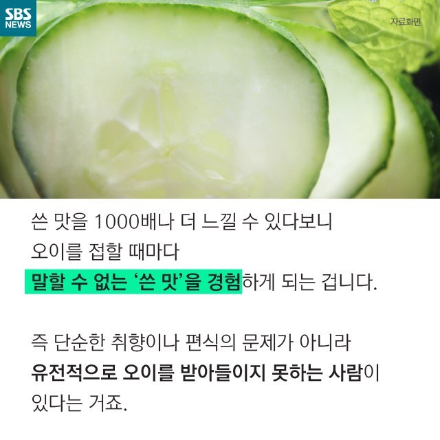 오이를 싫어하는 사람은 더 발달된 사람이다?jpg | 인스티즈