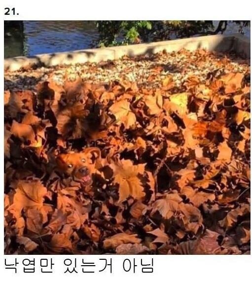 아님 시리즈 | 인스티즈