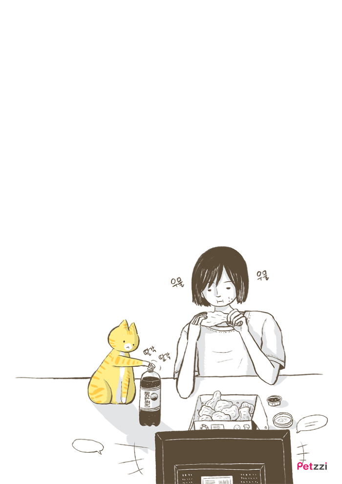 이해할 수 없는 고양이들의 취향.jpg | 인스티즈