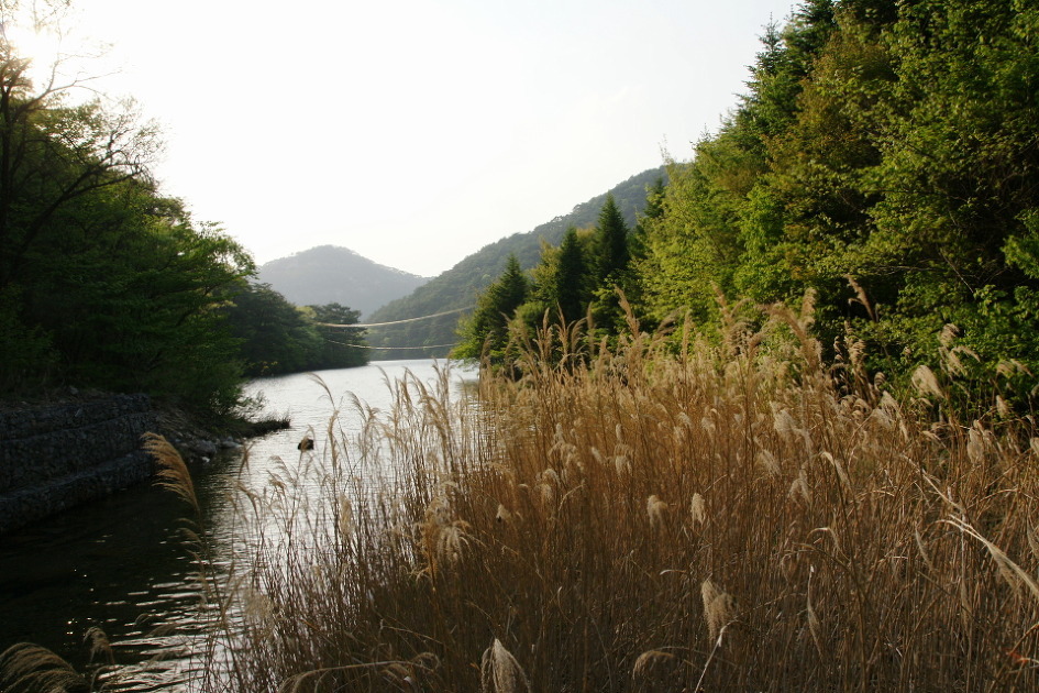 속리산동행 이미지