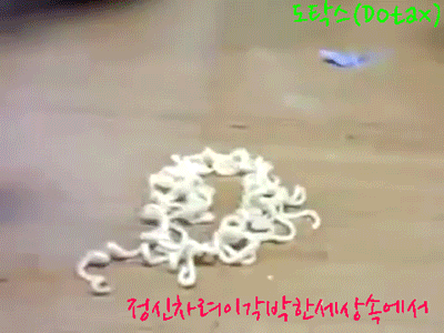 리듬게임에서의 금기.jpg | 인스티즈