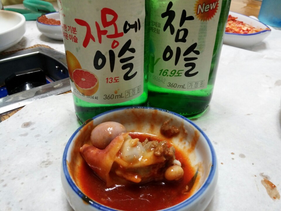 씨랜드 이미지