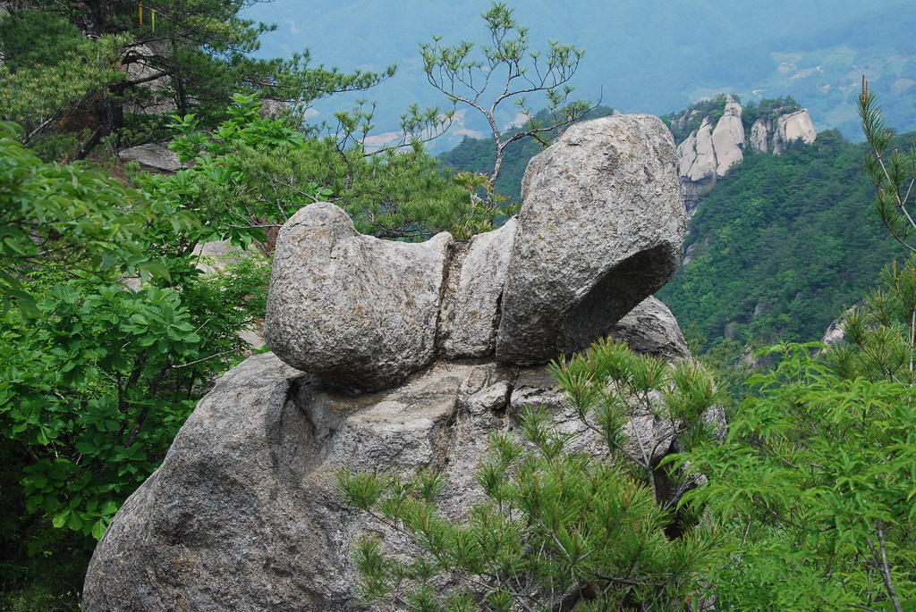 올산 조망 이미지