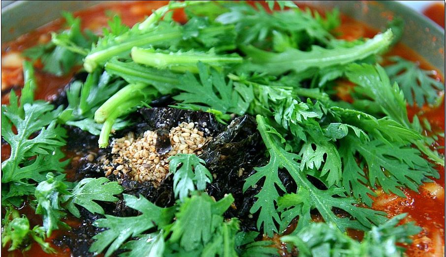 대전 맛집 몇곳 정리 | 인스티즈