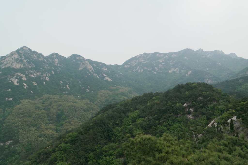 응봉 정상 이미지