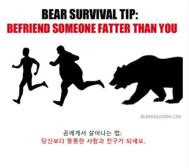곰에게 공격당했을 때 살아남는 팁 | 인스티즈