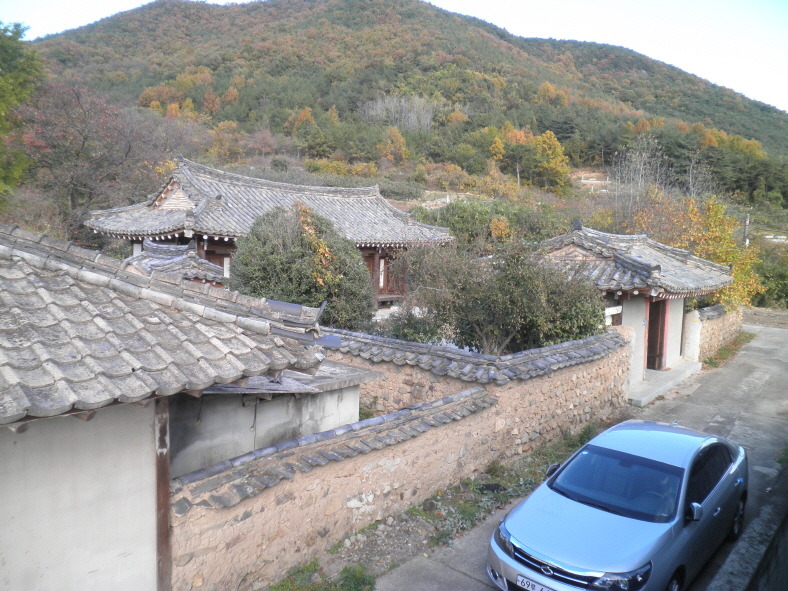 단향 이미지