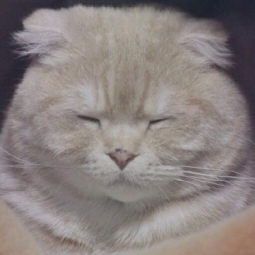 짱덕미 터지는 시아준수 고양이.jpg | 인스티즈
