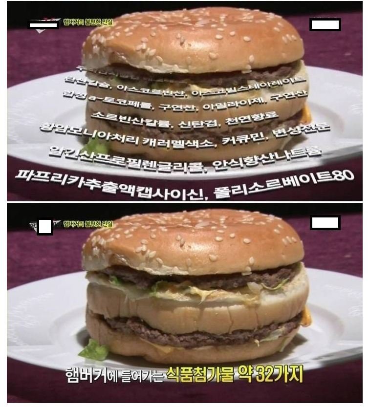 먹거리 x파일 ㅡ 햄버거의 불편한 진실 | 인스티즈