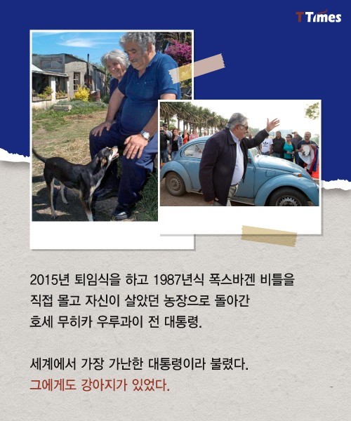 박근혜를 거쳐 간 강아지들 스토리 | 인스티즈