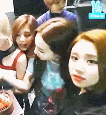 트잘알들은 아는 트와이스 최고케미 | 인스티즈