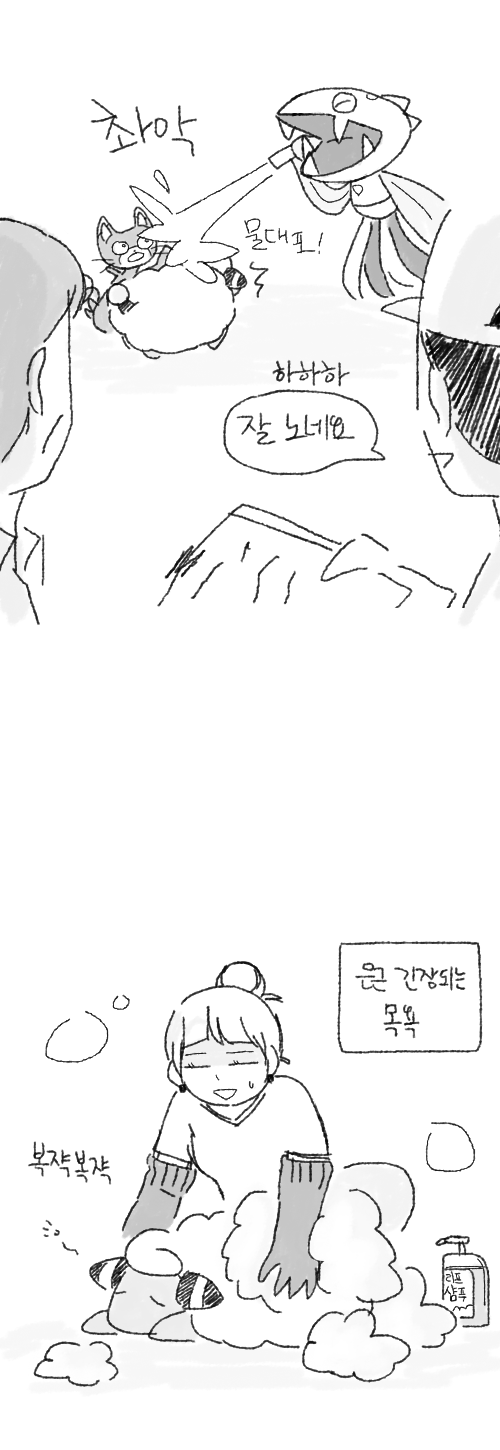 [포켓몬] 일상다반사 8 | 인스티즈