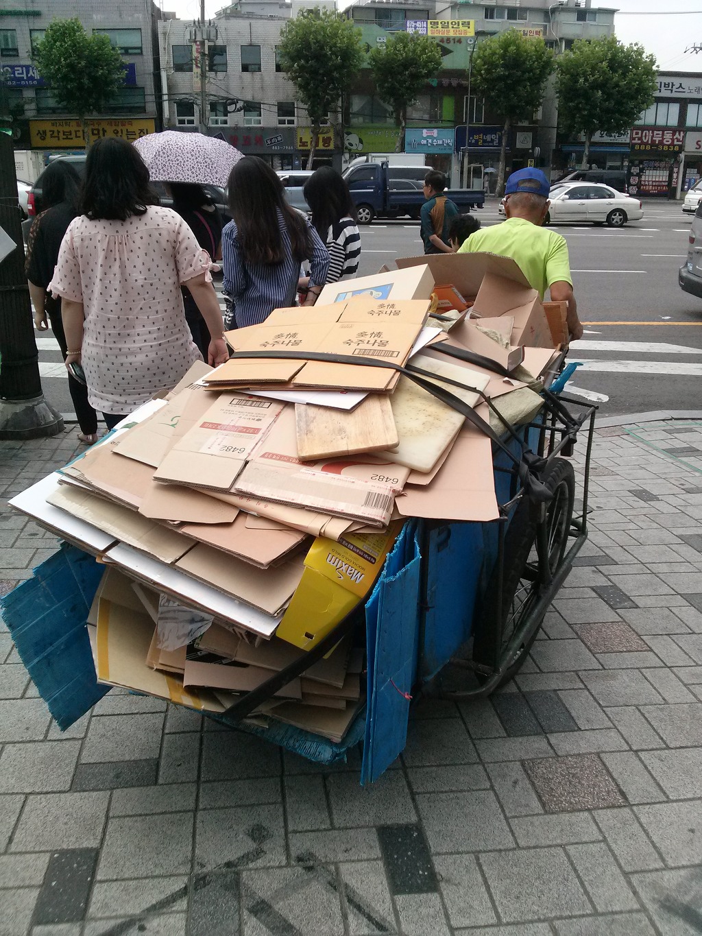 국민돼지 이미지