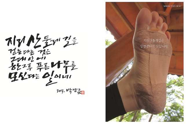염주식품 이미지