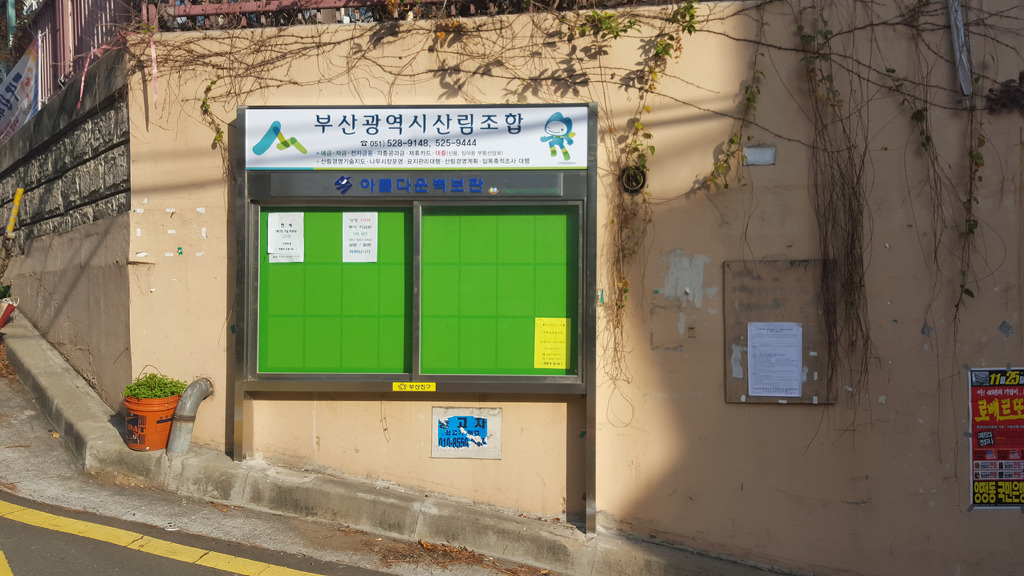 삼부개발주 이미지