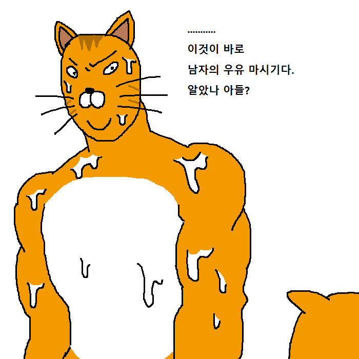 상남자 고양이의 아들 교육법 | 인스티즈
