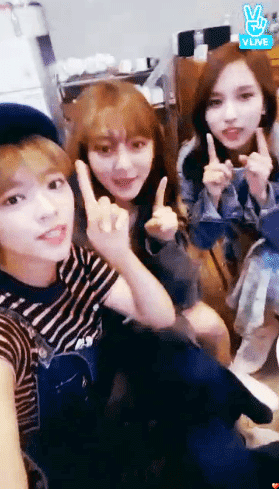 트와이스) 오늘 v앱 움짤 5개 | 인스티즈