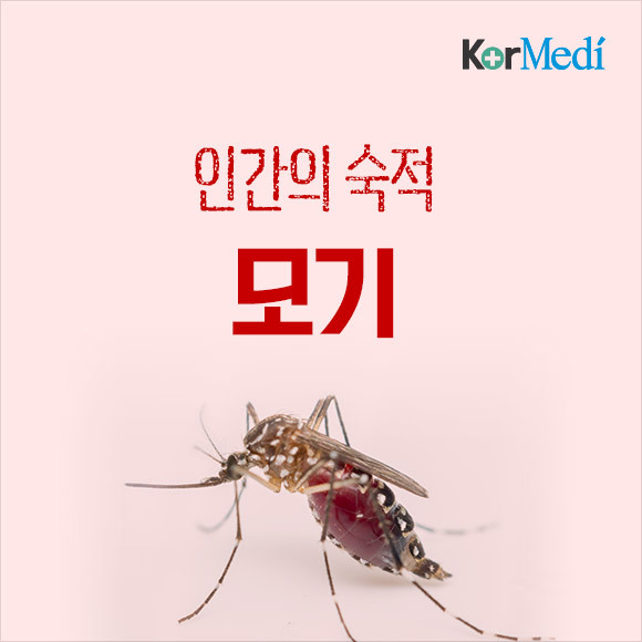해충에 대한 오해와 진실(feat.바퀴)_약혐주의 | 인스티즈
