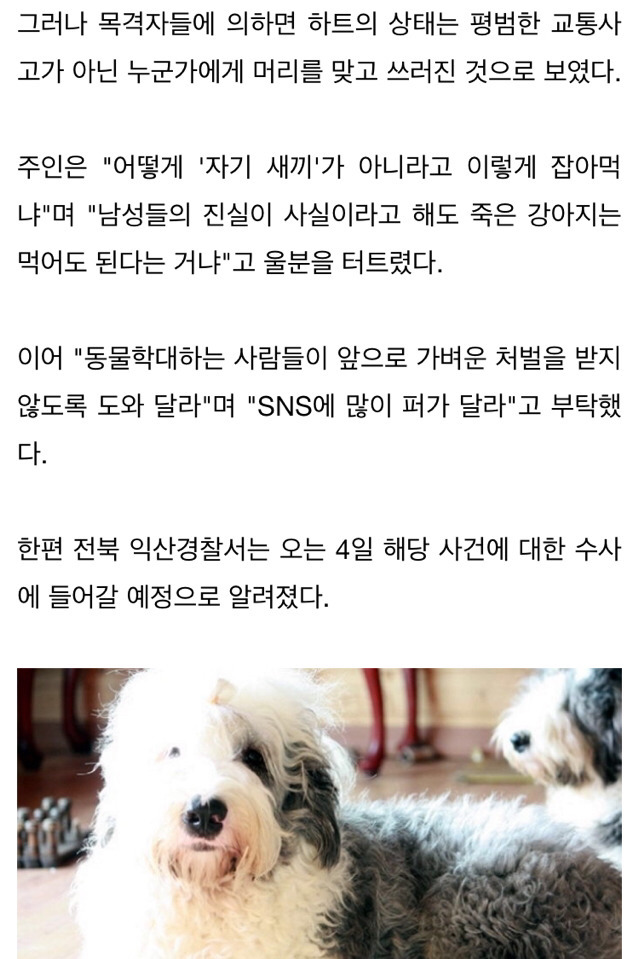 수렵시대 대한민국 | 인스티즈
