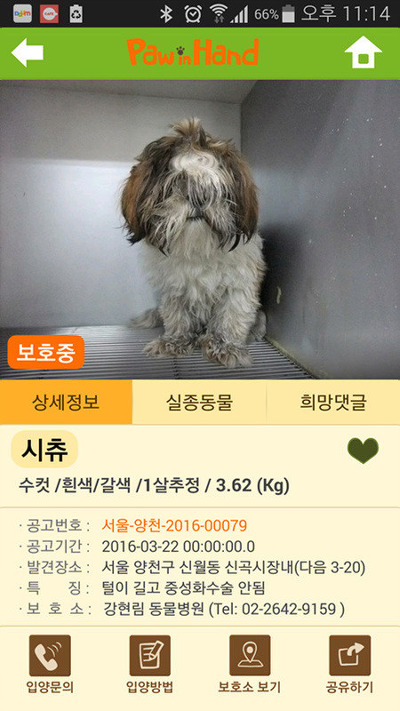 콩이 이미지