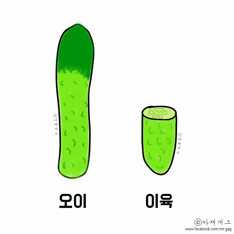 오이를 반으로 나누면? | 인스티즈