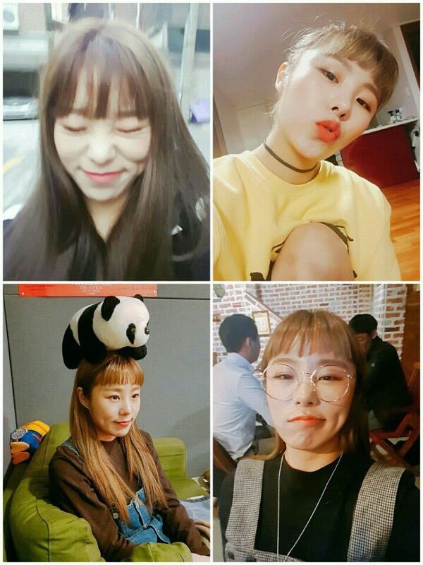 강아지 같은 마마무 휘인 | 인스티즈