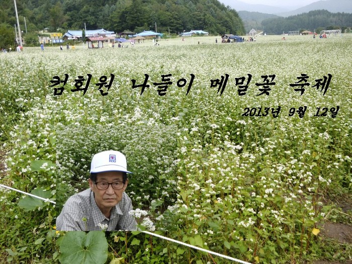 들에메밀꽃 이미지