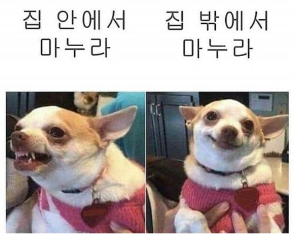 공감 이미지