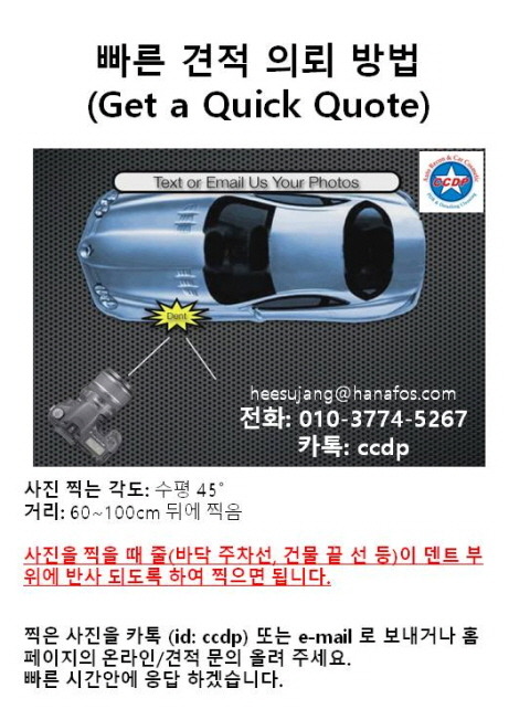 씨씨디피 이미지